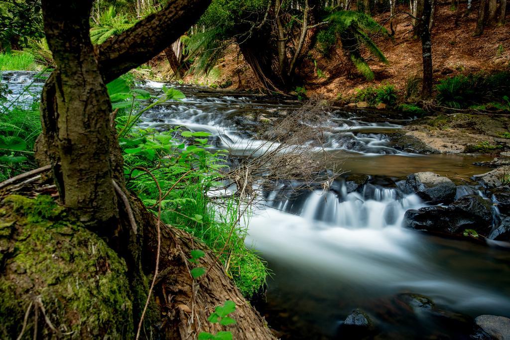 Big4 Tassie Getaway Park Ълвърстон Екстериор снимка